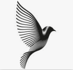 BlackBird Finance logo