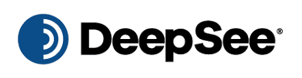DeepSee.ai logo