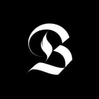 Burnt logo