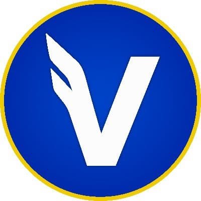 Valkyrie Investments logo