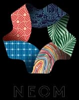 NEOM Investment Fund logo