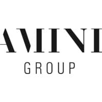 AMINI GROUP logo