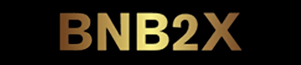 BNB2X logo