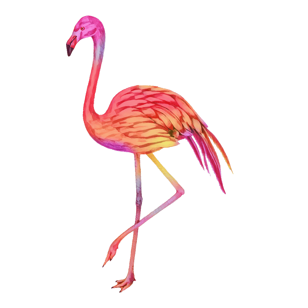 Bitcoin Shop Miami logo