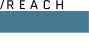 Reach logo