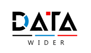 DataWider logo