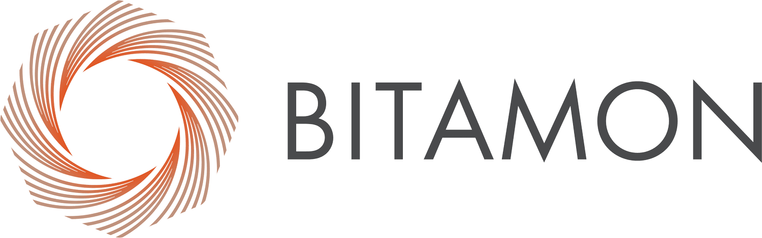 Bitamon logo