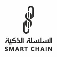 Smart Chain logo