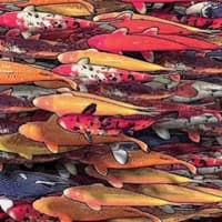 Long Glance Media logo