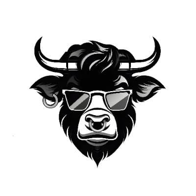 Wall St Bulls logo