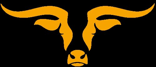 Fearless Bulls logo