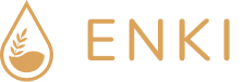 Enki Protocol logo