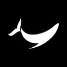 Whale Flow logo