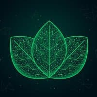 Viridis Network logo