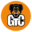 Grand Theft Crypto logo
