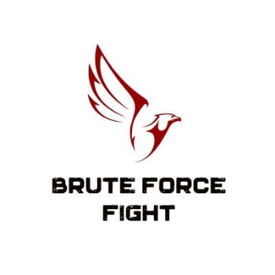 BruteForceFight logo