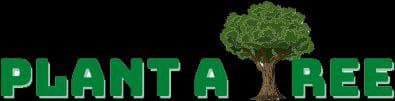 Plant A Tree logo