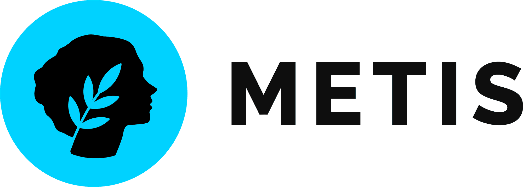 Metis Foundation logo