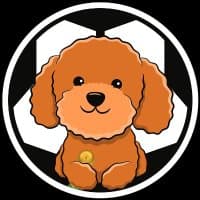 Poodle Football Inu logo