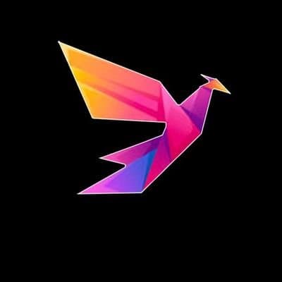 Rising Bird logo