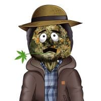 McWeedy School of Cannabis logo