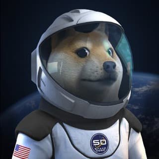 SpaceXDoge logo