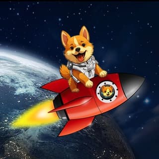 Starship Doge logo