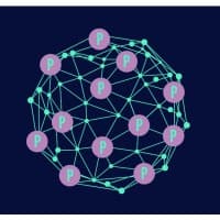 PayPerBlock Ltd logo