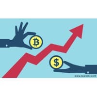 Cryptocoin Professional logo