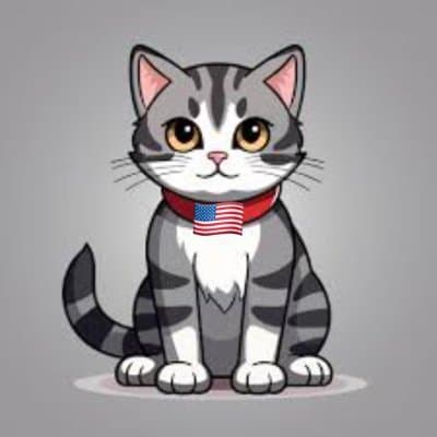 American Cat logo