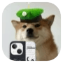 SelfieDogCoin  logo