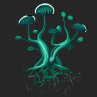 Mushroom Protocol logo