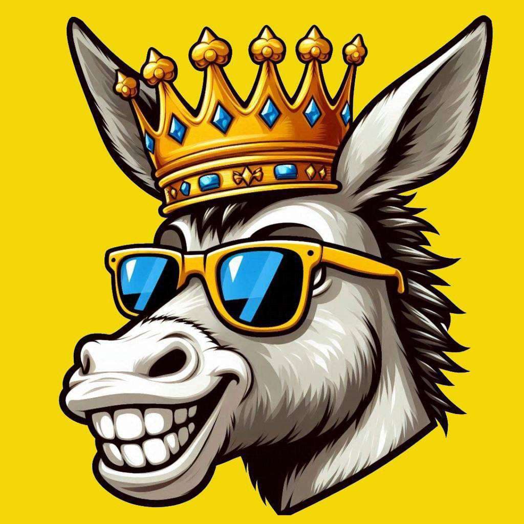 Donkey King Finance logo
