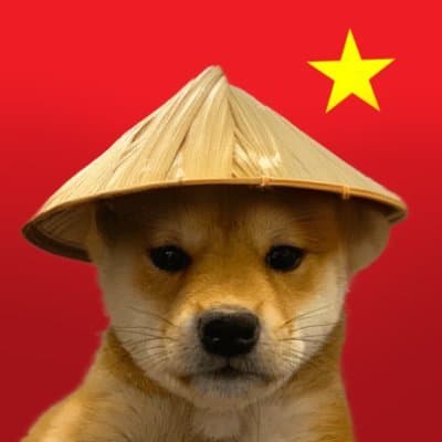 DOG WIF CHINESE HAT  logo