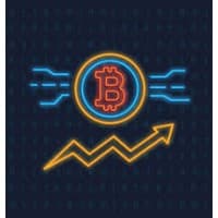 Crypto Option Growth logo