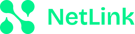 NetLink Protocol logo