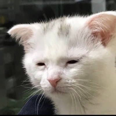 tired of it all logo