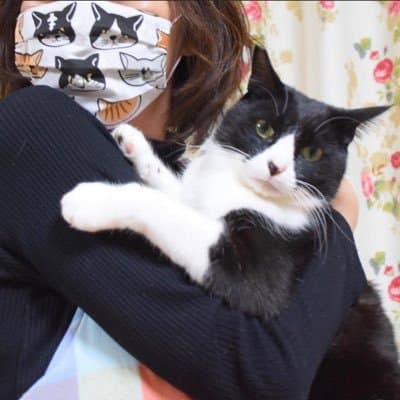 Onigiri The Cat logo