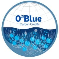 O2Bluecarbon logo