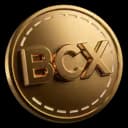 Big Coin logo