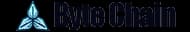 Byte Chain logo