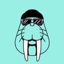 Walrus Walrus Protocol