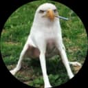 Smoking Eagle Dog logo