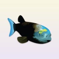 Barreleye logo