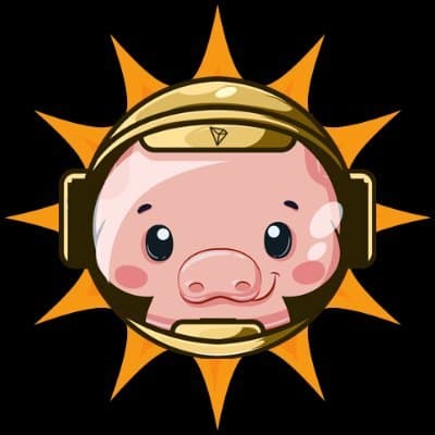 SUNPIG logo