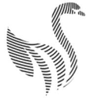 Black Swan Capital logo