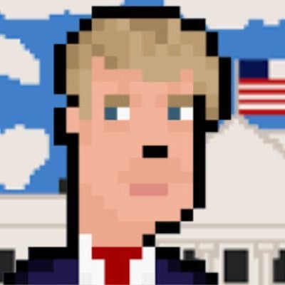 NON FUNGIBLE TRUMP logo