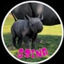 BabyRhinoZINA logo