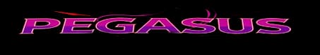 Pegasus logo