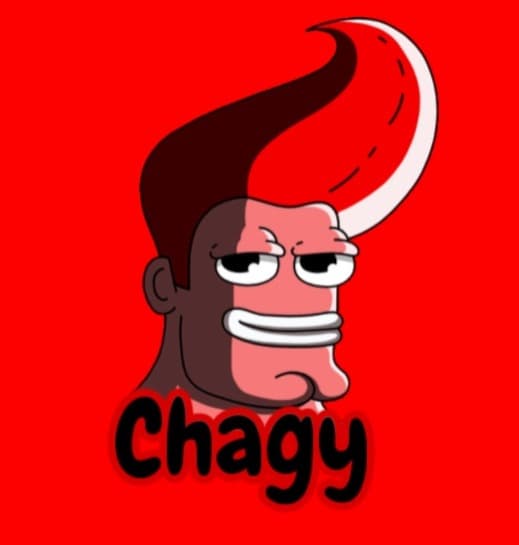 Chagy logo